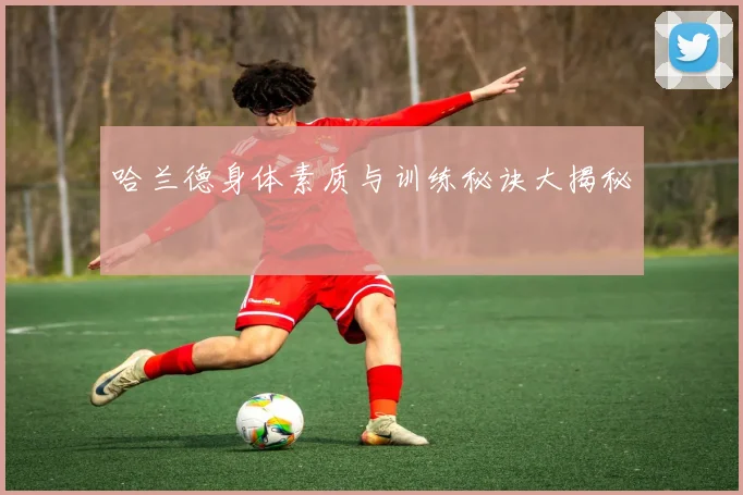 哈兰德身体素质与训练秘诀大揭秘